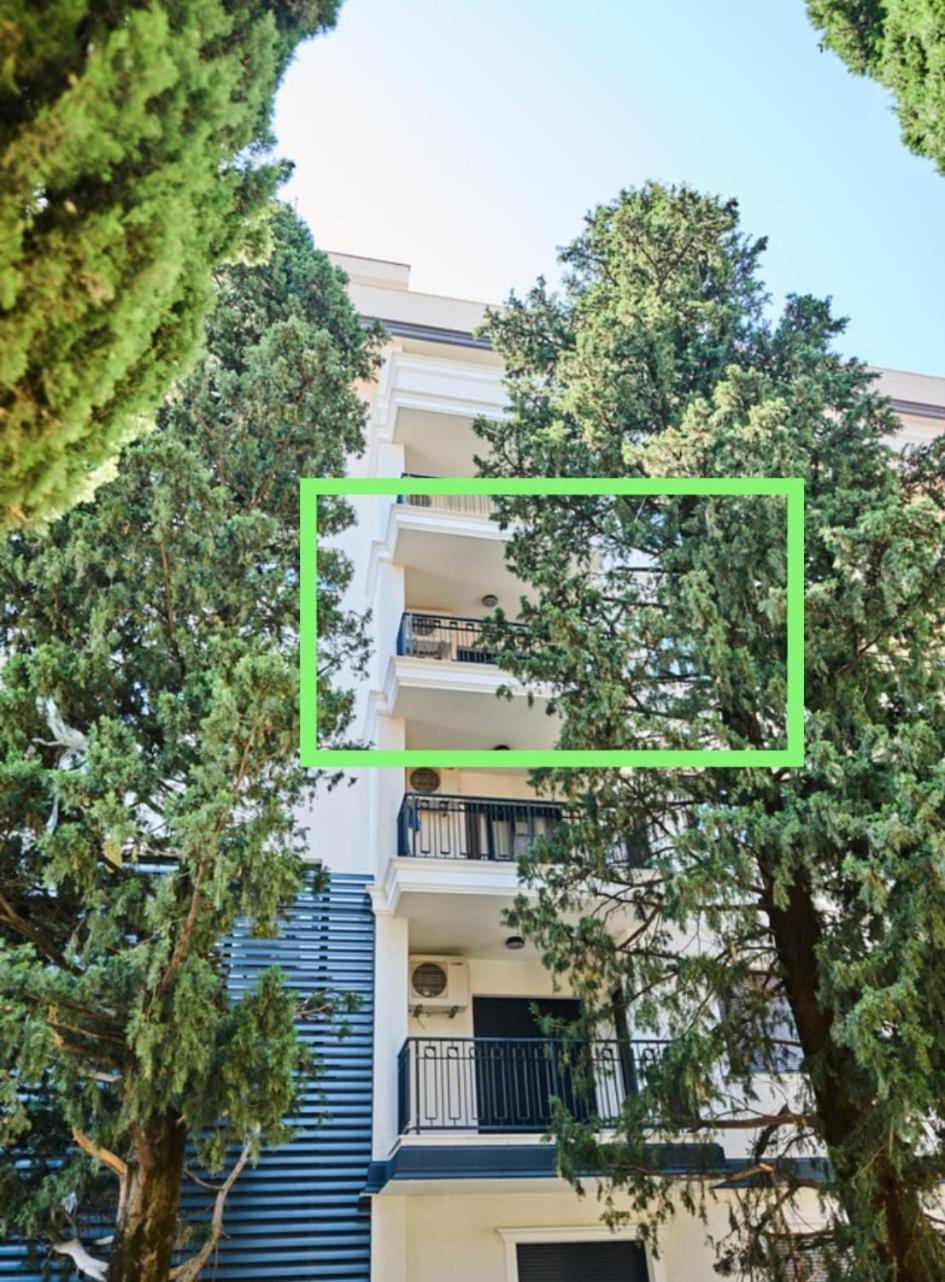 Pine 1 In The Center Apartment